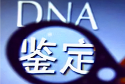 昭通DNA亲子鉴定要如何办理