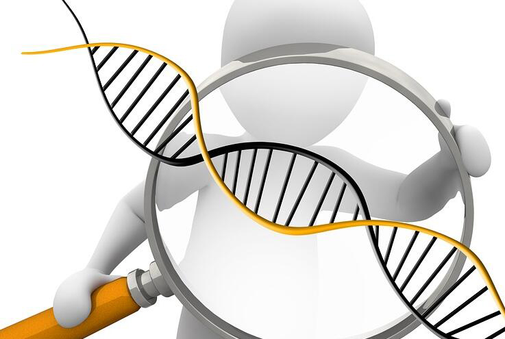 昭通怀孕39天如何做DNA鉴定,昭通孕期亲子鉴定大概价格